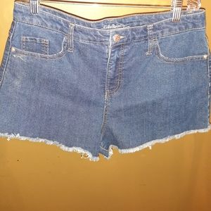 Wild Fable Jean shorts